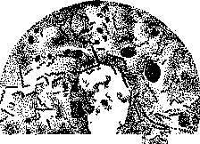 Pregnancy: figure 11 from the 1928–1936 encyclopedia article