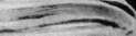 Ivan Sechenov: figure 1 from the 1928–1936 encyclopedia article