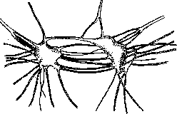 Intestine: figure 15 from the 1928–1936 encyclopedia article