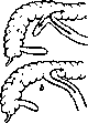 Intestine: figure 23 from the 1928–1936 encyclopedia article