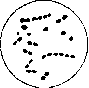 Intestine: figure 28 from the 1928–1936 encyclopedia article