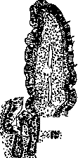 Intestine: figure 18 from the 1928–1936 encyclopedia article