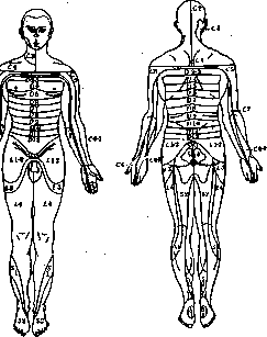 Anesthesia: figure 1 from the 1928–1936 encyclopedia article