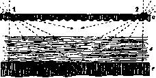 Local Anesthesia: figure 1 from the 1928–1936 encyclopedia article