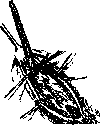 Hernias: figure 12 from the 1928–1936 encyclopedia article