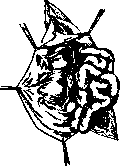 Hernias: figure 11 from the 1928–1936 encyclopedia article