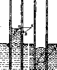 Meniscus: figure 1 from the 1928–1936 encyclopedia article