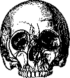 Facial Nerve (FACIAL NERVE, see Facialis): figure 5 from the 1928–1936 encyclopedia article