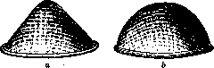 Contraceptives: figure 5 from the 1928–1936 encyclopedia article