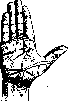 Hand: figure 15 from the 1928–1936 encyclopedia article