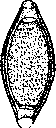 Whipworm: figure 2 from the 1928–1936 encyclopedia article