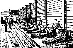 Mud Therapy: figure 1 from the 1928–1936 encyclopedia article