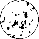 Bacterium Coli Commune: figure 1 from the 1928–1936 encyclopedia article